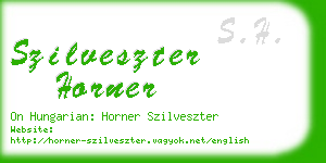 szilveszter horner business card